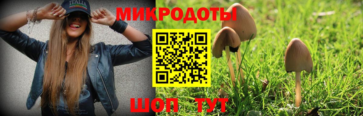 Дмитров  Псилоцибиновые грибы Psilocybine cubensis  Вход с VPN 